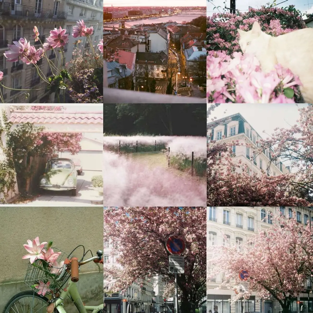 #photography #aesthetic #fyp #foryou #viral #pinterest #spring 
