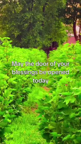 Be blessed