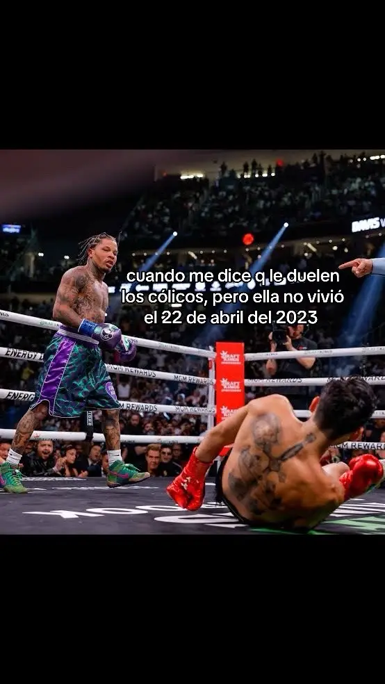 #fyp #contenido #viraltiktok #boxeo #kingryan #gervontadavis #nockout @TikTok 