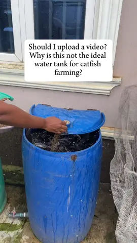 If i get a 100 YES I SHOULD. I will drop the video asap ! #catfish#catfishfarming#farmer#watertank#organic#agriculture 