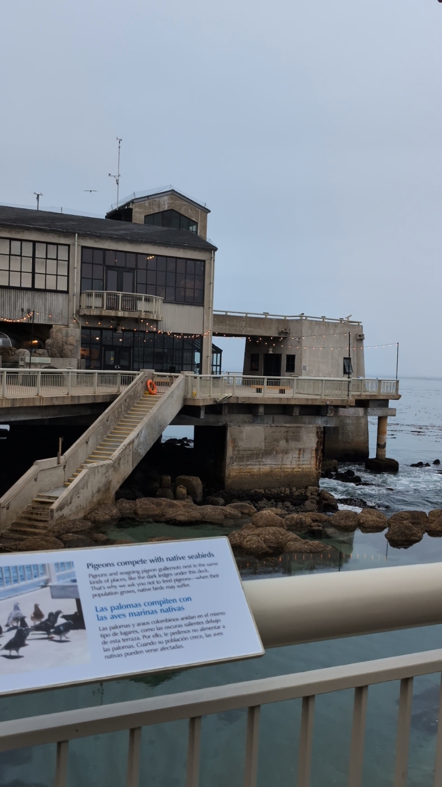 favorite place on earth #montereybayaquarium #montereybay 