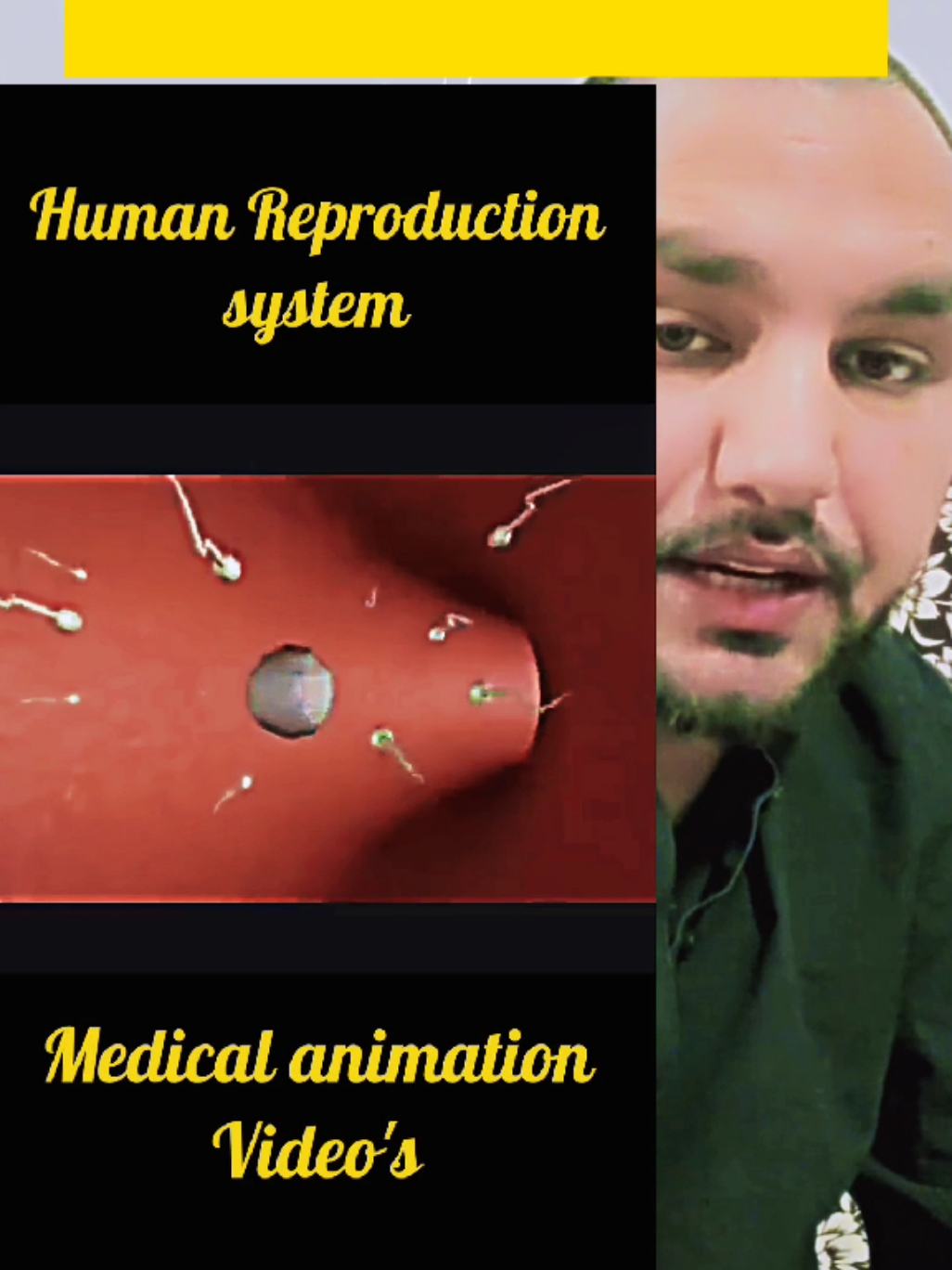 Human reproductive system #human #Human #humanity #humanresources #humanreprodutivesystem  #reproduction 