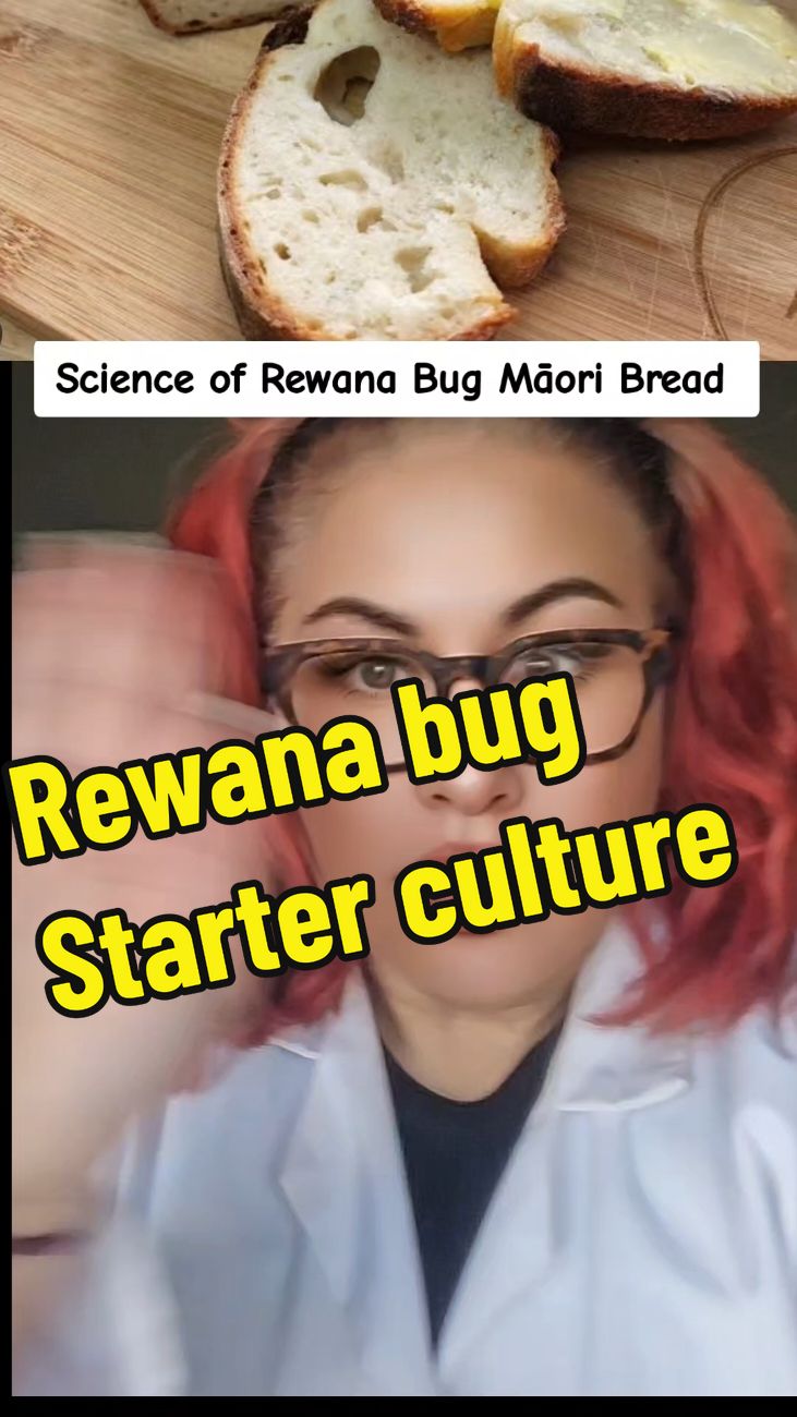 Sour dough starter culture. Rewana bug starter culture #creatorsearchinsights #rewana #starterculture #maoritiktok #m @RicardoCliffordTangatake 