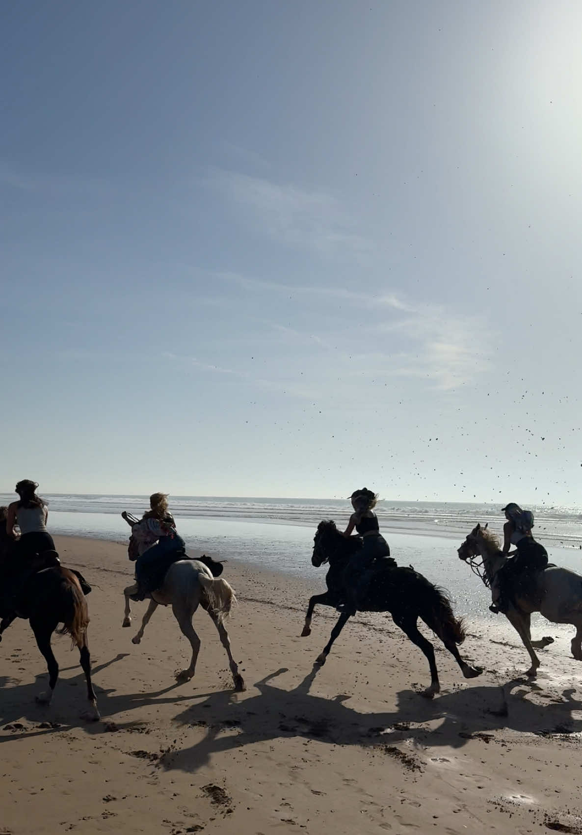 Wooooooooohouuuuuuu 🐎❤️  #horsegirls#travelwithfriends#horseriding#racinghorse#freedom#morroco#foryou  