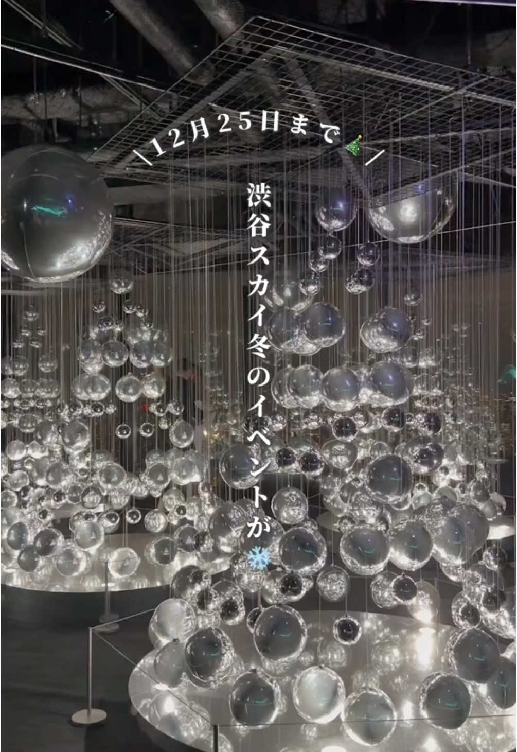 12月25日まで❄️ 渋谷スカイの冬イベント⛄️✨ 「渋⾕スクランブルスクエア」の14 階・45 階・46 階・屋上に位置する展望施設「SHIBUYA SKY」では、 冬の特別イベント「Sparkling View（スパークリングビュー）」を開催中⛄️ 屋上では19:00から30分1回、 光と音、シャボン玉などの幻想的な演出があるよ✨ 空高く映し出される光がとっても綺麗だった😭❤︎ 屋内の展望台にはミラーバルーンがあちこちに登場！ イルミネーションのようなきらめきを楽しむことができるよ🎄🌟 私のおすすめは、屋内展望台の奥にあるカフェ ''パラダイスカフェ'' ここは前からずっと好きなカフェで、 混んでなくて落ち着いてて、ドリンクについてくるスリーブがかわいくて好きなカフェ☕️ ここでは期間限定のメニュー ・マシュマロココア 880円 をオーダーしたよ〜！🍫 甘いものの気分だったから最高だったよ😂 とにかく眺めが良くて最高のカフェなんだけど、奥の方にあるから見逃しがちかも💦ぜひカフェにも寄ってほしいな〜！！ そんな冬のイベントは12月25日まで🧑‍🎄 クリスマスデートにぴったりだよ〜！！！ #PR #渋谷スカイ #shibuyasky #渋谷スクランブルスクエア #sparklingview #東京デート #お出かけスポット #渋谷駅 #クリスマスイベント #週末お出かけ #期間限定イベント