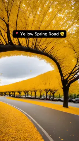 Places in Japan that doesn‘t feel real 😨✨ (follow if you love Japan) #japan #travel #japantrip #nature 