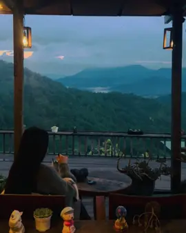 có nhiều cửa sổ, đã mở  có nhiều cửa sổ, đã đóng bao gồm những cơ hội và thử thách và trong lúc mệt nhoài một mầm cây lại xuất hiện#xuhuongtiktok #CapCut #yeu 