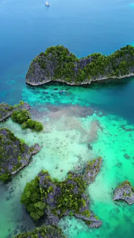 Raja Ampat, le dernier paradis sur Terre 🌴 #rajaampat #indonesia #traveltiktok #paradise #CapCut 