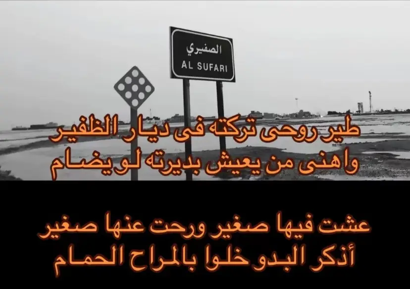 #اقوى_كويتيين🇰🇼#الضفير#اكسبلور#205#2024