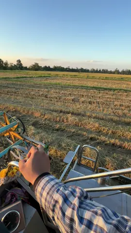 1ปีมีครั้งสู้เต็มที่ครับ😍✌🏻🌾#ปานเจริญการช่าง2022 #พรมเทศการเกษตร💯 #นาปีอีสาน🌾 #ขอนแก่น #หนุ่มขับรถเกี่ยวข้าว🌾🌾 #วัยรุ่นรถเกี่ยว 