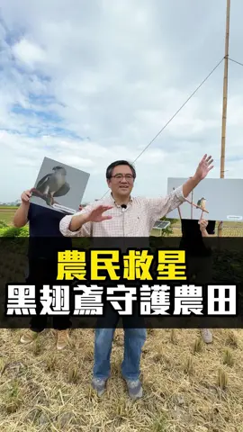 農民救星，不用撒農藥！ #霧農大叔 #農會 #台灣 #霧峰 #香米 #台中霧峰