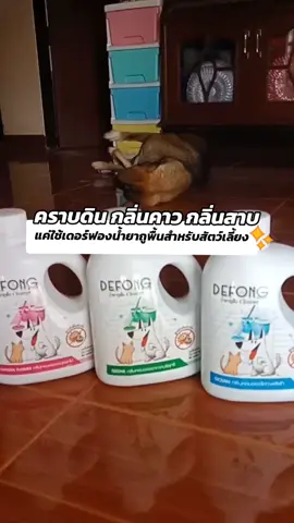 ลดคราบ กลิ่นคาว กลิ่นสาบสัตว์เลี้ยงได้ดีมาก #เดอร์ฟอง #น้ํายาถูพื้นสําหรับหมาแมว #defongน้ํายาถูพื้นสําหรับสัตว์เลี้ยง #ทาสหมา #สัตว์เลี้ยง #สัตว์เลี้ยงtiktok #ของใช้สัตว์เลี้ยง #อุปกรณ์สัตว์เลี้ยง #ชวนหมาขายของ @ชวนหมาขายของ @ชวนหมาขายของ @ชวนหมาขายของ 