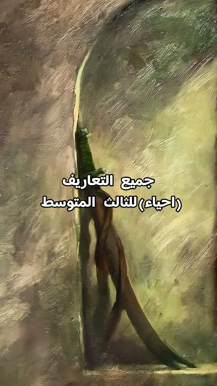 #ثالثيون #الزهراء #امي