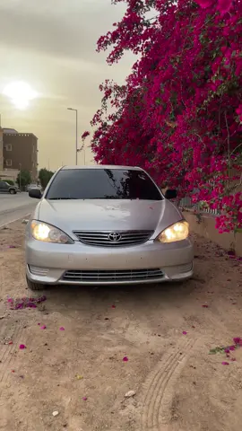 #حسسون #مشاءالله_تبارك_الله_اذكروالله #كامري2006 #حسسوني_مشهورة_ #التيما_2021 #سلفر #اكسبلور #حساب_حسسون_الجديد #مشاءالله_تبارك_الله_اذكروالله #مشاءالله_تبارك_الله_اذكروالله 