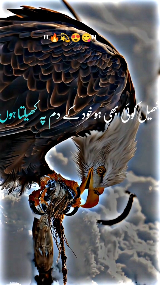 کھیل کوئی بھی ہو میں اپنے دم پہ کھیلتا ہوں 🔥🔥🔥🔥🔥🔥🔥 #foryoupage #🖇️✨🥀💔# #standwithkashmir #fyp #a #500k#poetrystatus #viralmyvideoplztiktok #whatsappstatus #goviral#NotYourAffan#500k