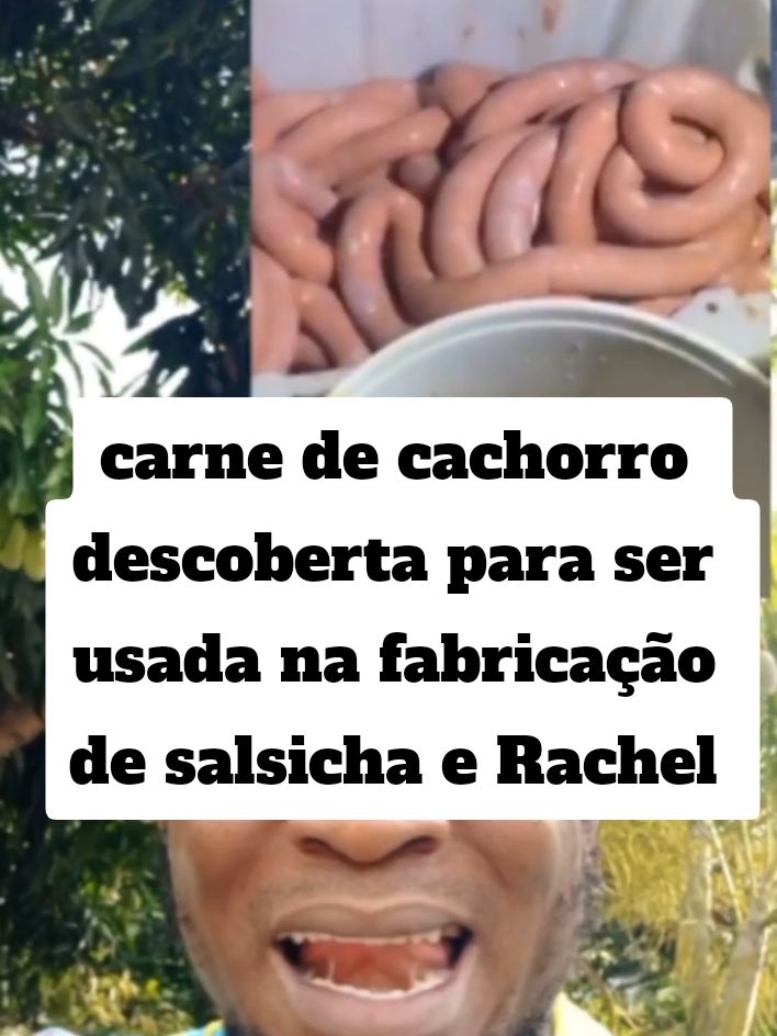 carne de cachorro descoberta para ser usada na fabricação de salsicha e Rachel  #CapCut #fyp #noticias #fypシ゚ #Viral #mozambique🇲🇿 #angola🇦🇴 #africantiktok 