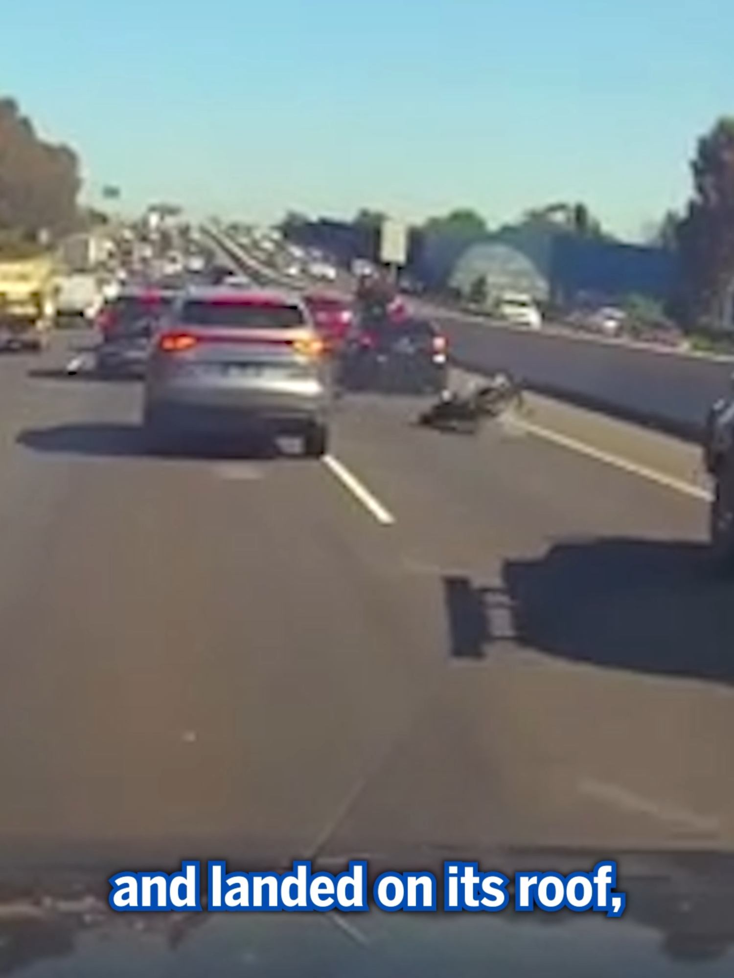 This motorcyclist is lucky to be alive after crashing into a car on the highway, and landing in the perfect spot. #news #luckyescape #viral