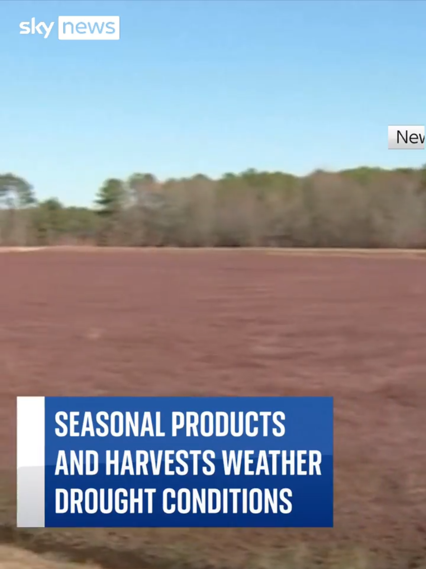 #Christmas tree growers in #NewYork and #NewJersey have made extra efforts to ensure the availability of their seasonal products this year. #Drought conditions mean growers of seasonal products have had to improvise. #SkyNews #USNews #FestiveSeason