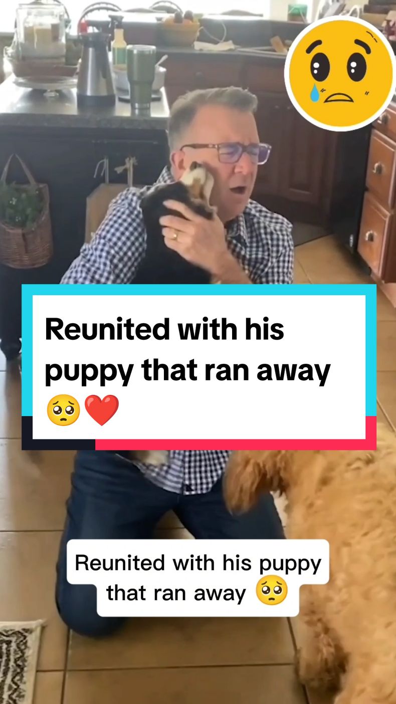 Tearful reunions with their lost dogs 🥺 ❤️ #dog #puppy #dogsoftiktok #doglovers #reunited #reunion #emotional #hearttouching #wholesome #heartwarming #crying #reaction #fyp 