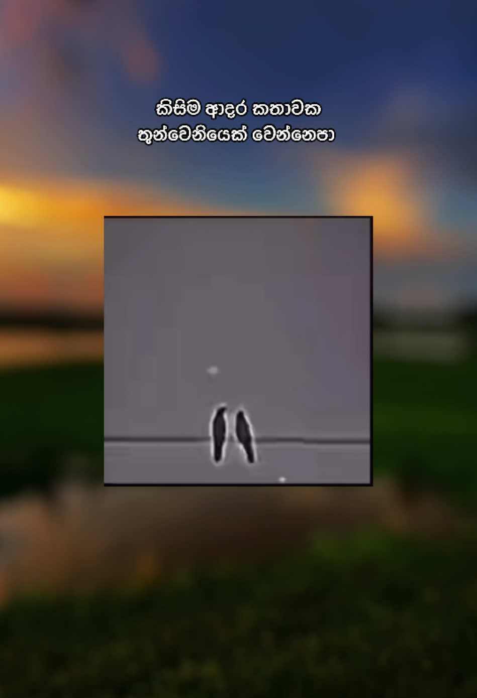 තුන්වෙනියෙක් නිසා කොච්චර නම් ආදර කතා ඉවර වෙන්න ඇතිද..... #fypシ #for_uh #viral #1m #tiktokviral #1millionaudition #onesidelove #😊 @kavi__officiai 💦🥵🖇 @𝒹𝒾𝓁𝒶💗 @🧚‍♂️ Hashizz 🦋