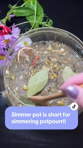 Replying to @Skybreaker875🖤 simmer pot is short for simmering potpourri! #simmerpot #tiktokshopblackfriday #witchyvibes #intentions #intentionalliving #manifestation #abundance 