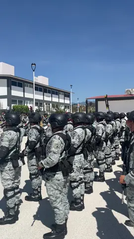 Honores a la Bandera #GuardiaNacional #GN #mexico🇲🇽 #patria 