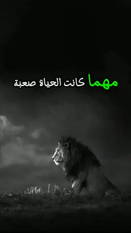 مهما كانت الحياة صعبة.. #اكسبلور #CapCut #الاسد #cat #capcut_edit #عبارات #أقوال_و_أحكام #اقوال_وحكم_الحياة #كلام_من_ذهب #مشاهير_تيك_توك_مشاهير_العرب #مشاهير_تيك_توك #حكمة_اليوم #تحفيز_الذات #عرب #خواطر #fy #video #foryour #capcut_edit #رحلة #marocaine🇲🇦 #viralllllll #تحفيز #مقولات #اقتباسات #عبارات