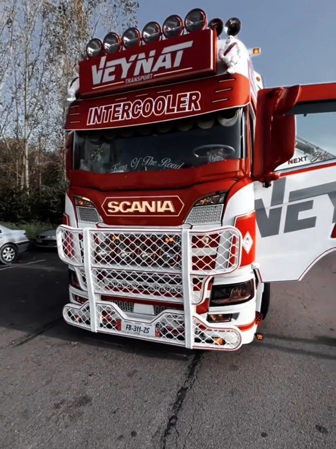 Un joli Griffon... En long, en large et en travers 🚛 ©️ @txva_truckspotter  #scaniafrance #scania #truck #scaniav8 #trucks #fyp 