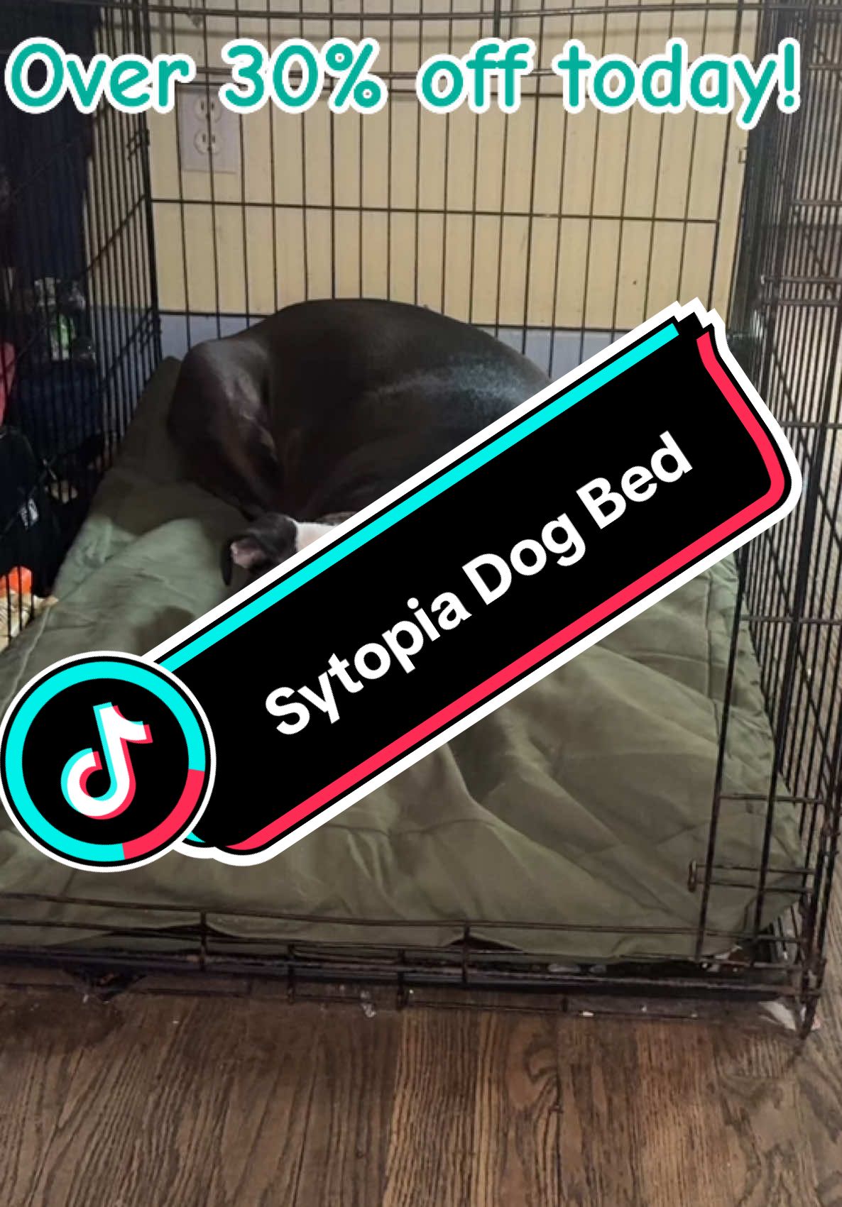 Sytopia makes an amazing durable canvas dog bed that is also machine washable! #dogbed #sytopia #machinewashabledogbed #tiktokshopblackfriday #tiktokshopcybermonday #ttstakeover 