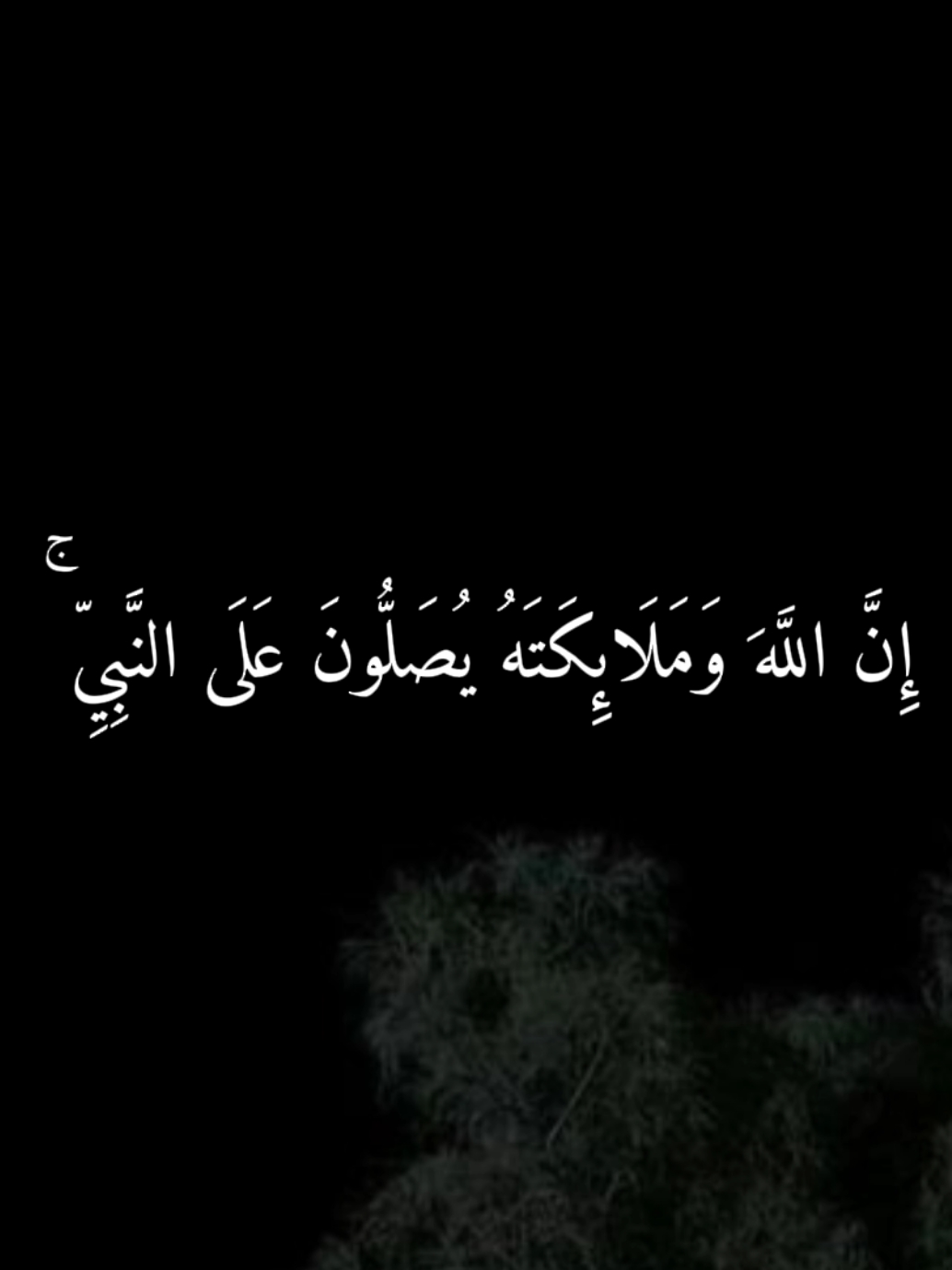 اللهم صلٌ وسلم وبارك على سيدنا محمد 🤍 سورة_الاحزاب | الآية_56 | القارئ : #حسين_العزام #قران_كريم #يوم_الجمعه  #اللهم_صل_وسلم_على_نبينا_محمد #اكسبلور 