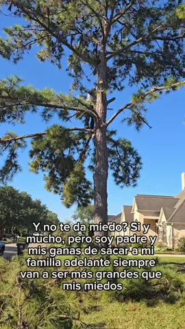 Sin miedo#CapCut #yardwork #yarderosperrones #yarderos #landscaping #landscaper #jardinero #treework #family 