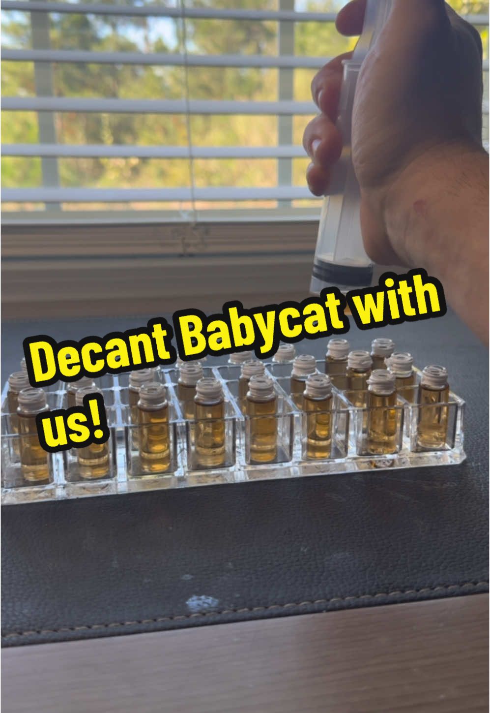 Babycat decants.. my #1 fragrance!  #smellgood #decants #samples #babycat #cologne #perfume #discounter #fyp