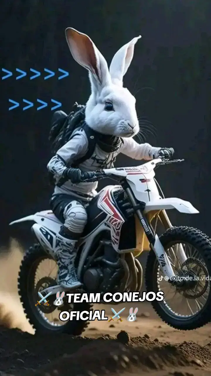 #⚔️TeamConejosOficial🐰⚔️🐰 #video #hashtag #Viral #Viral #fyp #paratii #cochabamba_bolivia🇧🇴 #chilebolivia🇨🇱🇧🇴 @⚔️🐰TEAM CONEJOS OFICIAL⚔️🐰 @⚔️🐰 TEAM CONEJOS 🐰⚔️ @digno_cosme_<3 @ツ●𝓐𝓷𝓭𝓻𝓮𝓼●ツ²⁰⁰³ @Team Conejo @♤♡BUNY,FF◇♧ 