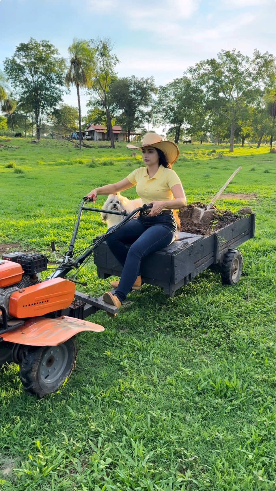 🤠 . #natureza #roça #cabelão #lugarlindo #simplicidade #trator #nelore #mulher #bruta #afazenda #mato #terra #shitzu #shitzubrasil #cabelodossonhos #xucra #pordosol #pordosolperfeito #rancho #curral #fofurapet 