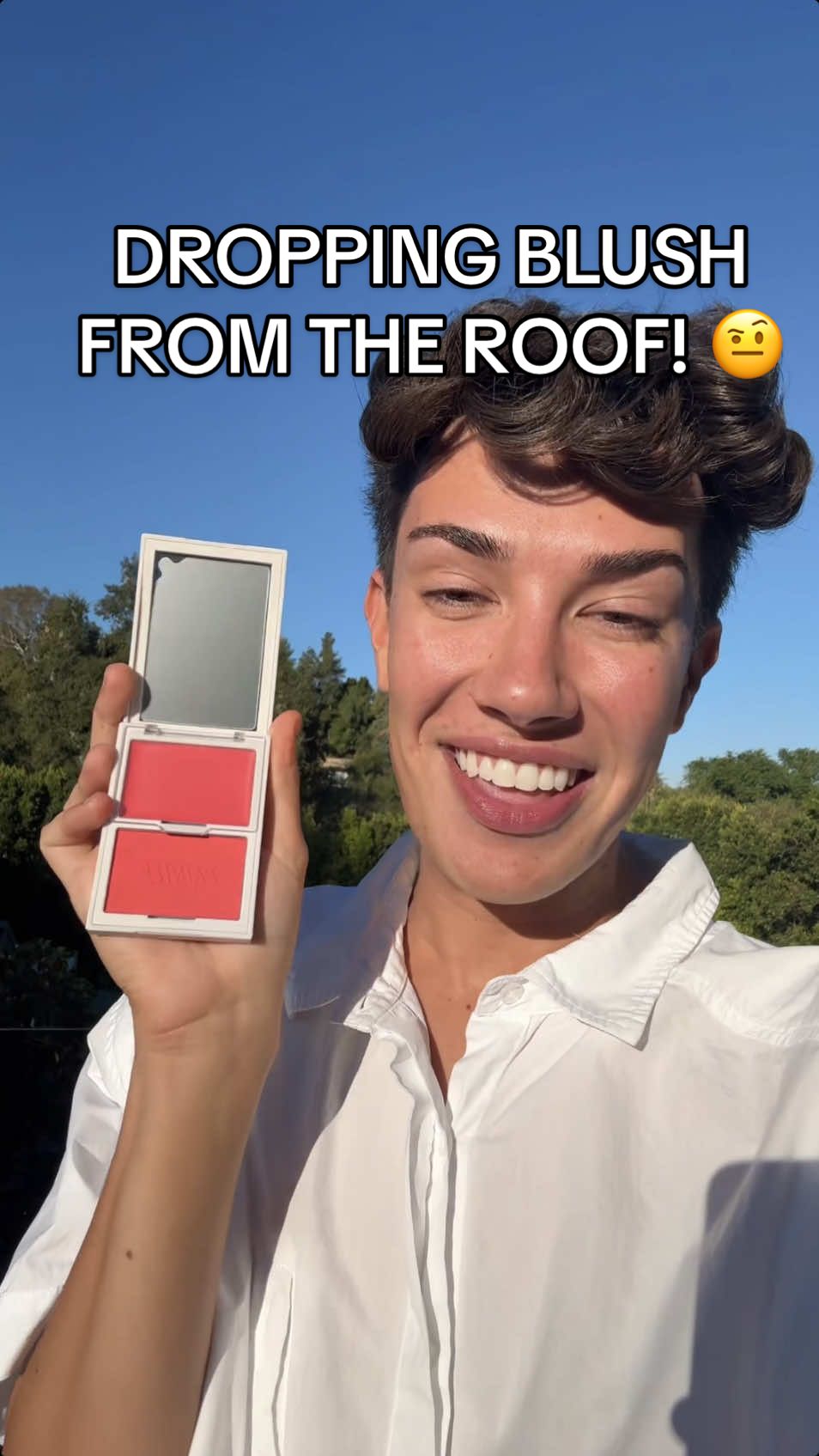 Replying to @rachel_whelan7 DROPPING OUR PAINTED BLUSHES FROM THE ROOF 🫠😰 We have all lost our minds… #painted #blush #makeup 