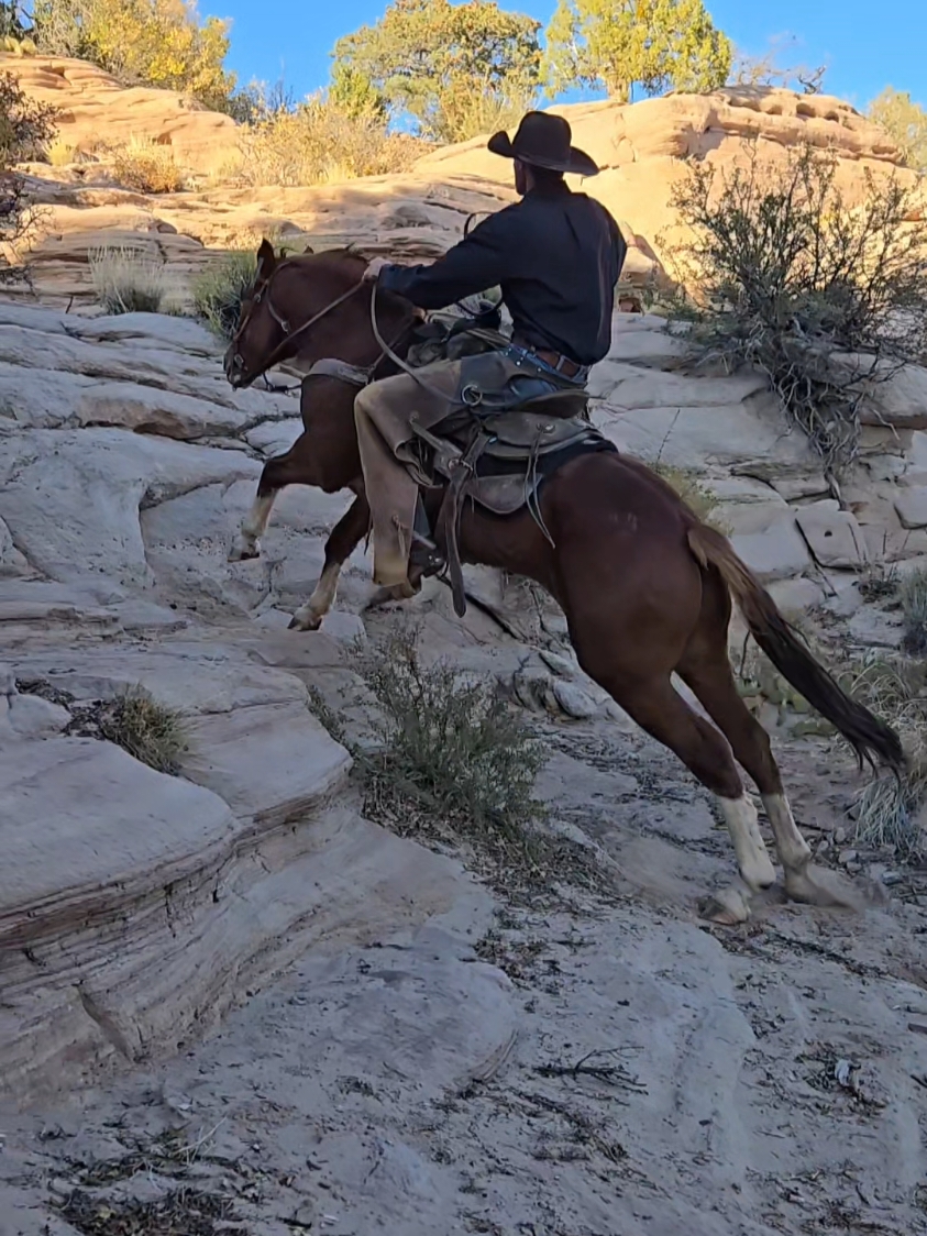 Speed is necessary on this rock  #horses #horse #cowboy #fyp #mustanghorse #rock 