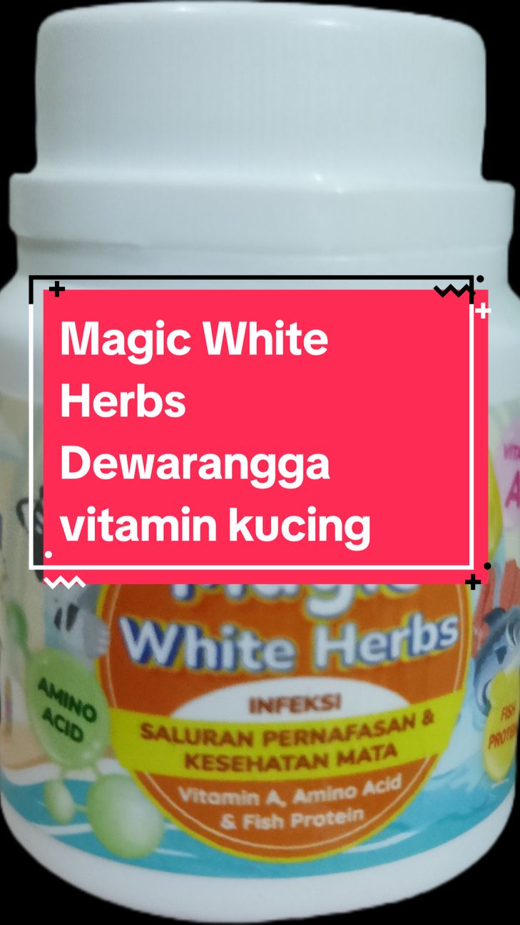 Magic White Herbs Dewarangga vitamin untuk mengatasi masalah pernapasan dan mata belekan #dewarangga #magicwhiteherbs #vitaminkucing #kucing #cutecatrevolution @Dewarangga Cattery @Dewarangga 