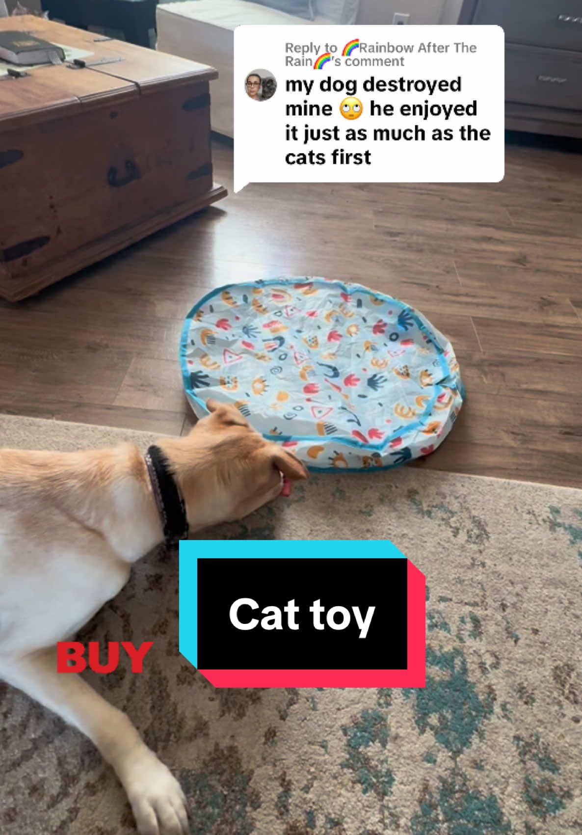 Replying to @🌈Rainbow After The Rain🌈 cat toy that dogs can okay with too #TikTokShopBlackFriday #TikTokShopCyberMonday #cattoy #catmom #cattok #giftideas #petlovers 