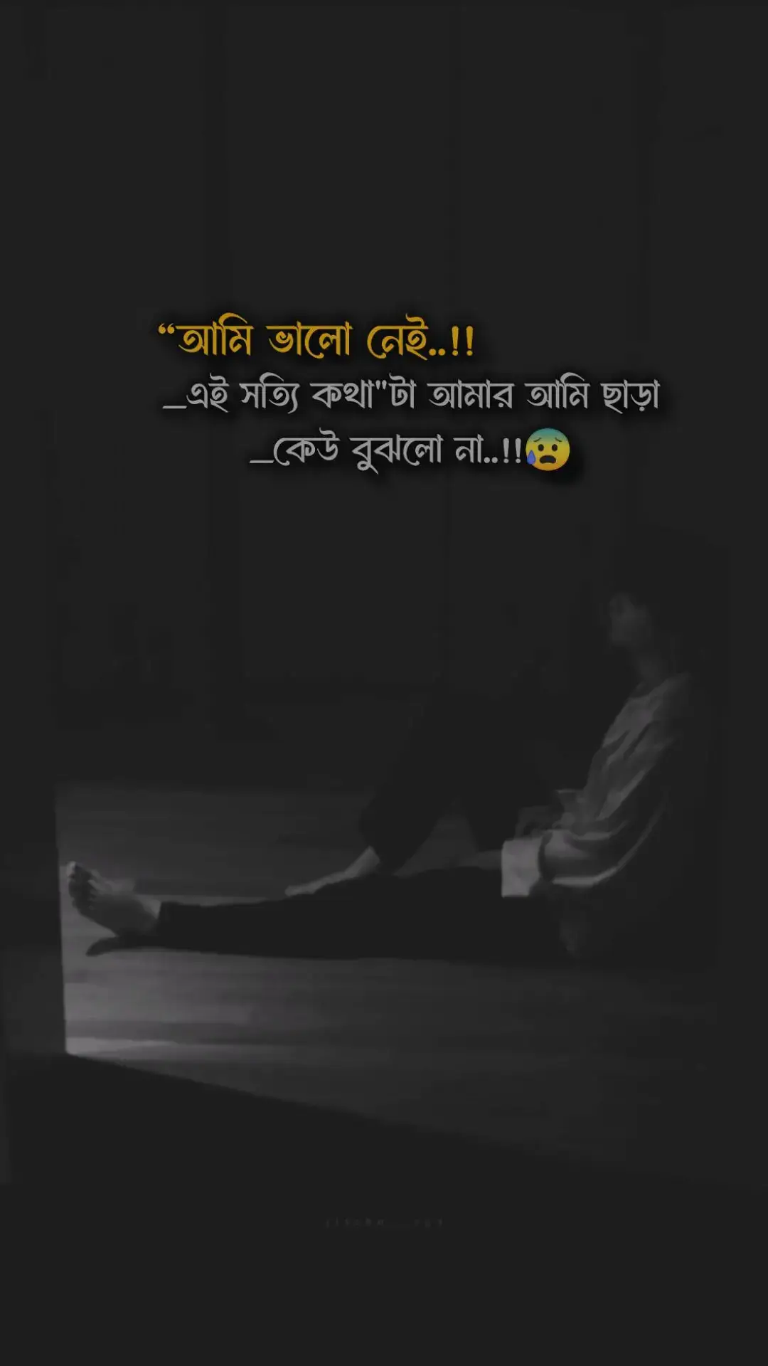 আমি ভালো নেই, এই সত্যি কথা টা আমার আমি ছাড়া কেউ বুঝলো না.. 