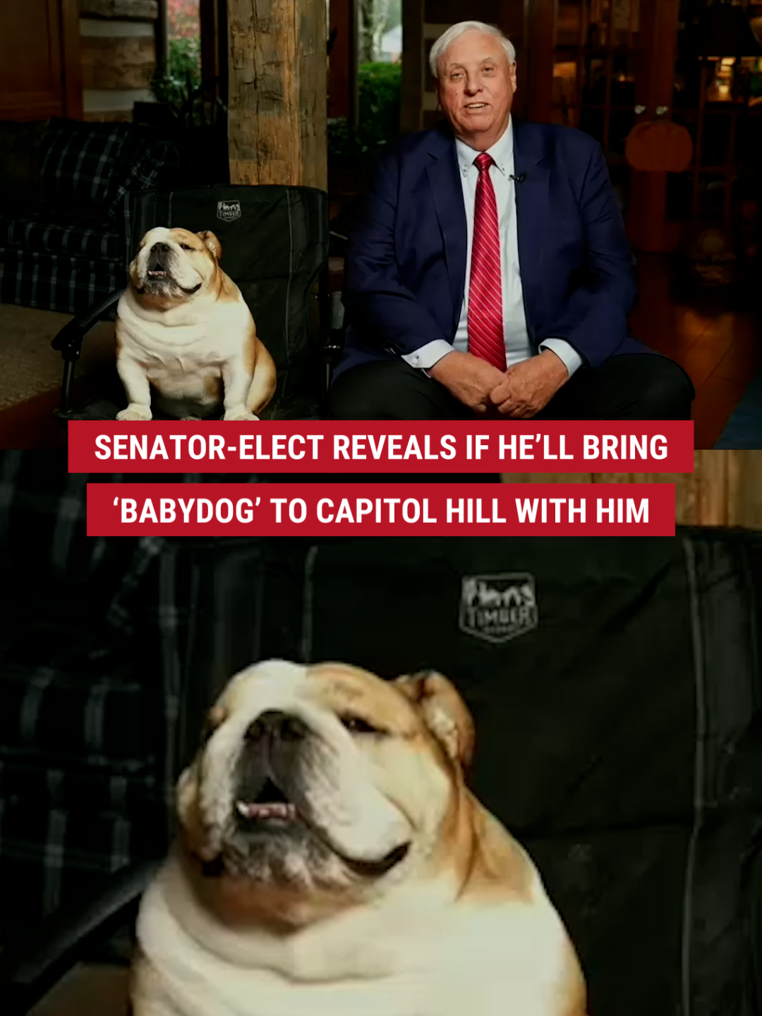 THROW HER A BONE: Senator-elect Jim Justice (R-WV) clears the air on Fox & Friends about whether his beloved 'Babydog' will appear on the Senate floor, and how Americans can meet the celebrity dog themselves on Capitol Hill.