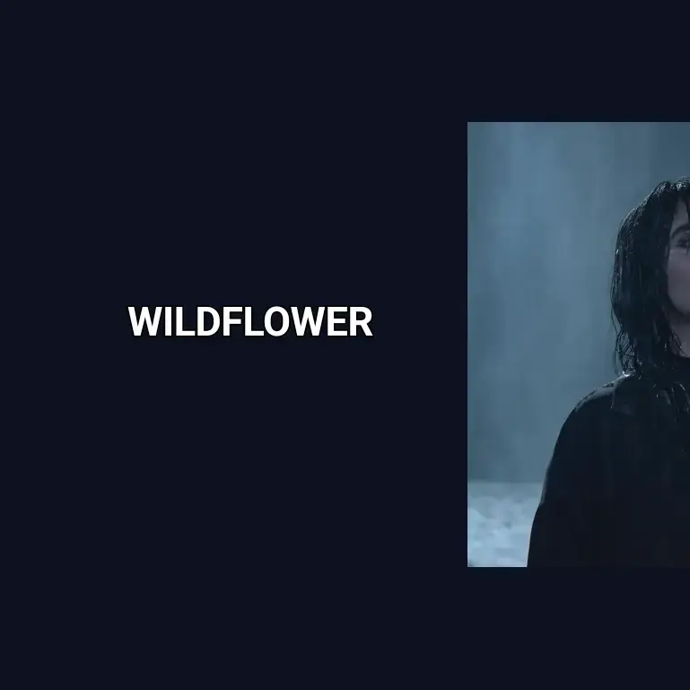 Wildflower | Billie Eilish . . . #wildflower #billieeilish #spotify #song #lyrics #liriklagu #fyp 