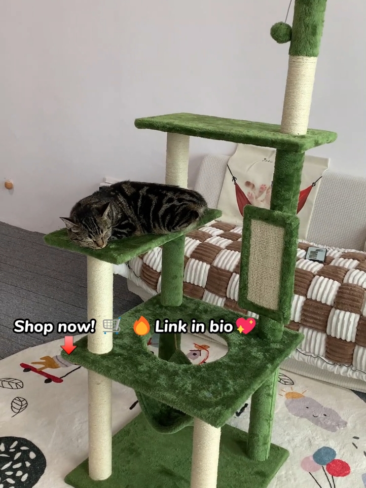 Great cat tree for my cats 🥰🥰I love  it !!😍😍#cat #kitty #cattree #cattreehouse #pethouse #cattrees #cattreelove #foru 