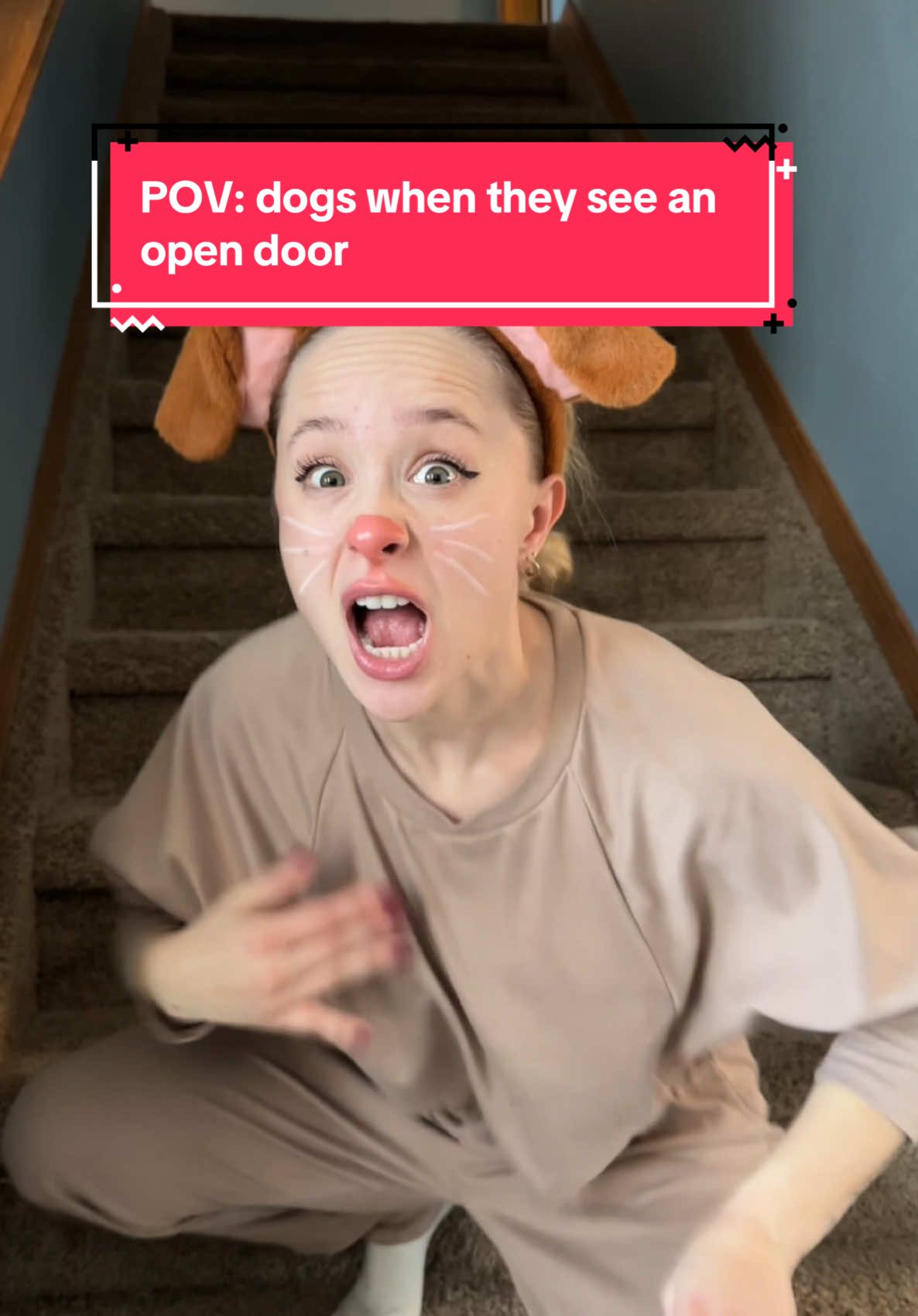 POV: dogs when they see an open door