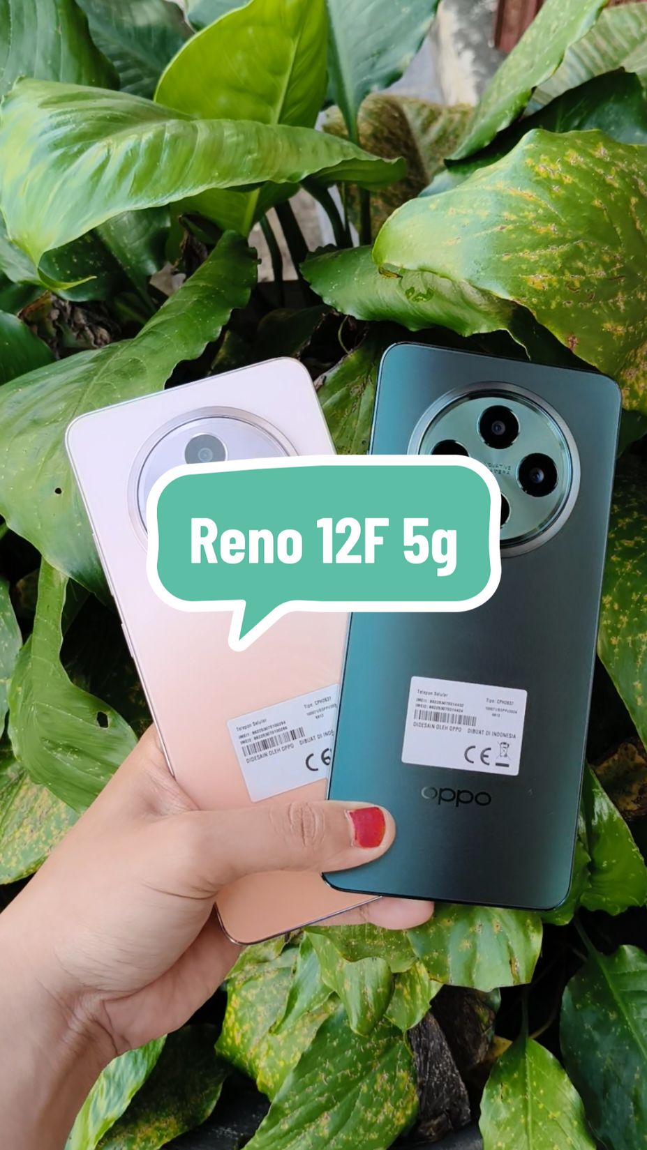 warnanya cakep cakep 😍 #oppo #oppoindonesia #opporeno12f #opporeno12f #reno12f #reno12f5g #fyp #platkt #bestseller #2024 #mbaday27 