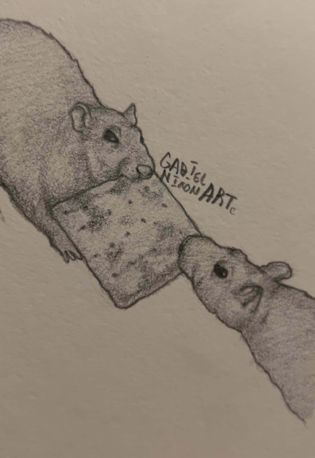 Who will win.. but Who will lose?          #fyp #art #drawing #sketch #rat #linkinpark #foryouuuuuuuuuuuuu 