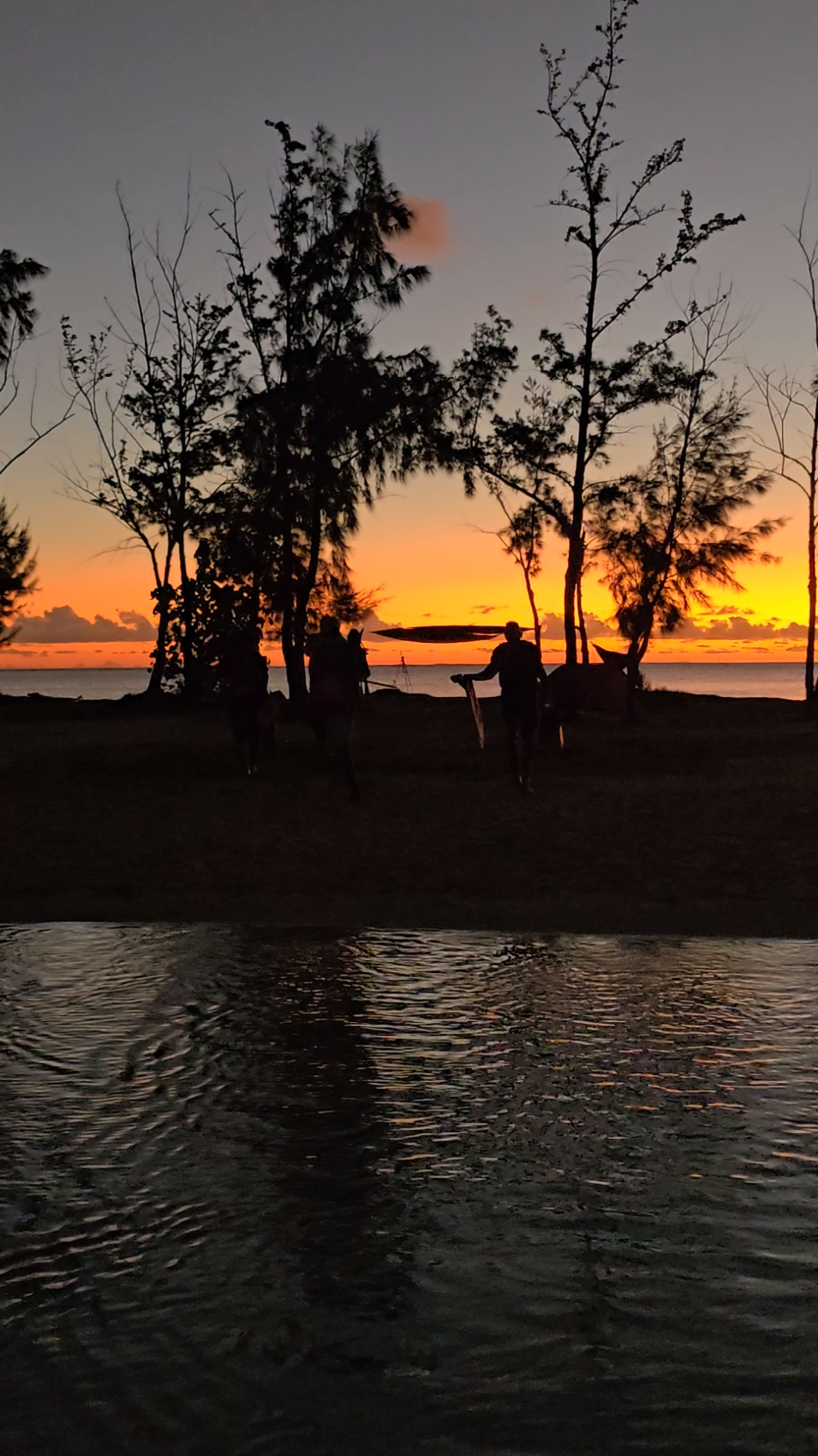 #fypmauritius #pyf #fyp #mauritius🇲🇺 #rodriguesisland #pyfffffffffffffffffffffffffffffffff 