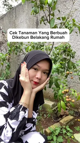 Gcek pupuknya dikeranjang profil yaa👍 #berkebundirumahaja #dailyvlog #padahariini #berkebundibelakangrumah #pocinfarm #infarm @infarm id 