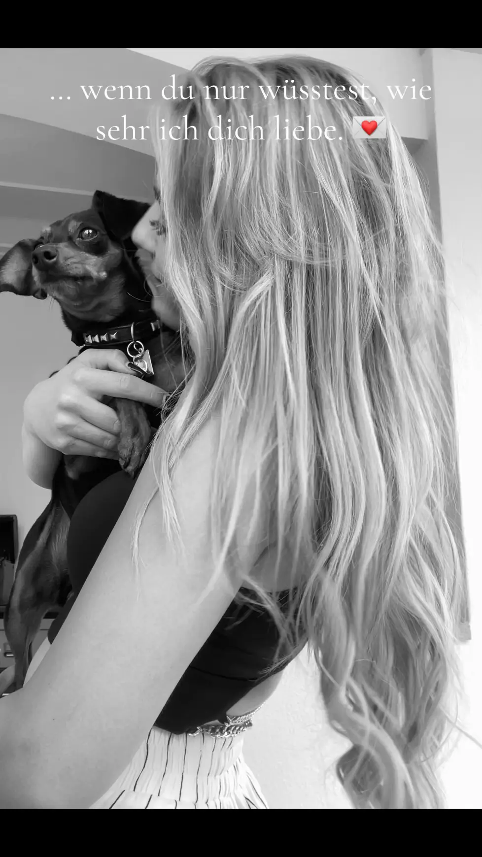 #zwergpinscher #zwergpinscherlove #trending #foryoupagethis #Love #liebe