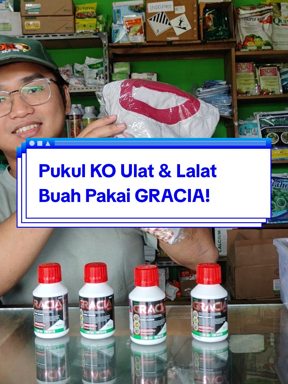 Membalas @paktani381 Basmi Ulat dan Lalat Buah Sekaligus dengan GRACIA! Pukul KO ulat, Untung Berlipat! @nufarm_indonesia #insektisida #gracia #petanicabe #pertanianindonesia #lalatbuah #benihonline