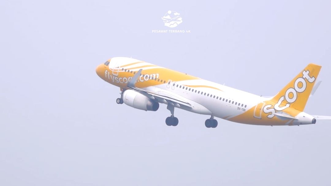 Pesawat Terbang Flyscoot Airbus A320 Takeoff Di Bandara Soekarno-Hatta Jakarta  #pesawat #pesawatterbang #pesawattakeoff #bandarasoekarnohatta #flyscoot #pesawatlanding 